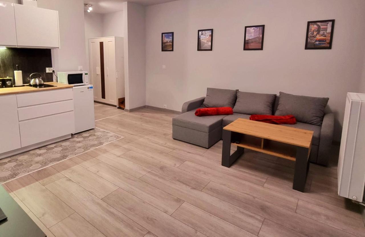 Apartament Kopernika 49 Lodz  Ngoại thất bức ảnh